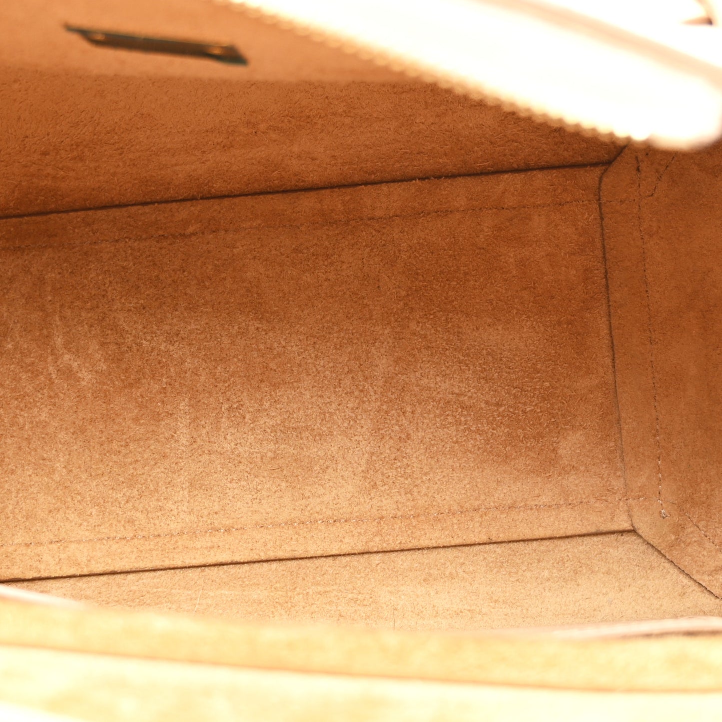 Grained Calfskin Micro Belt Bag Nude