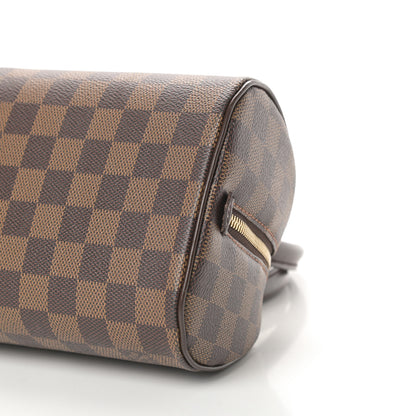 Louis Vuitton Damier Ebene Ribera Mini 10 of 11