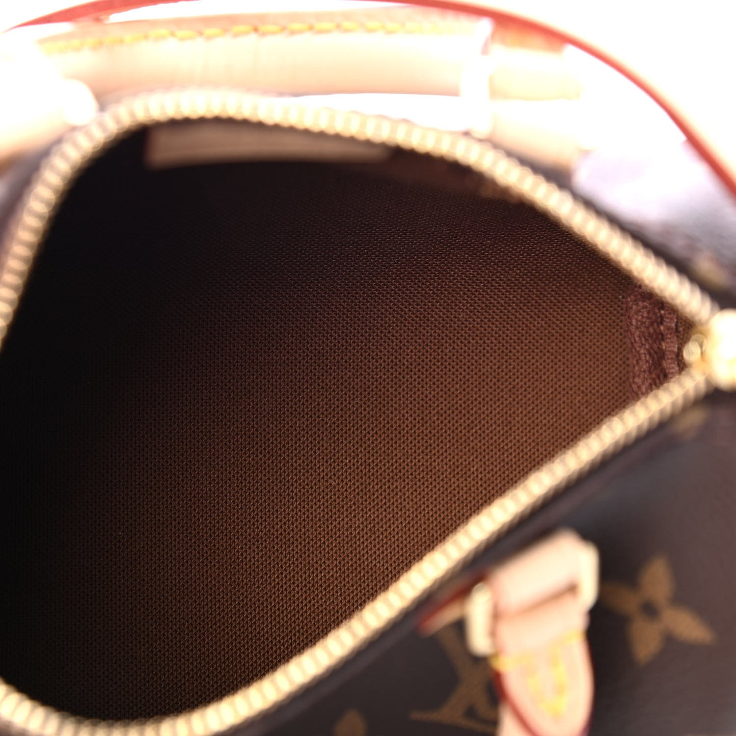 Monogram Nano Speedy