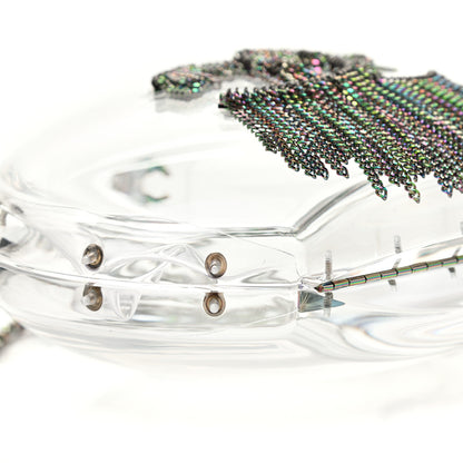 Chanel Plexiglass Iridescent Chain Fringe CC Clutch Clear 6 of 8