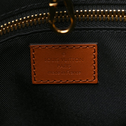 Louis Vuitton Reverse Monogram Dauphine Hobo MM 5 of 13