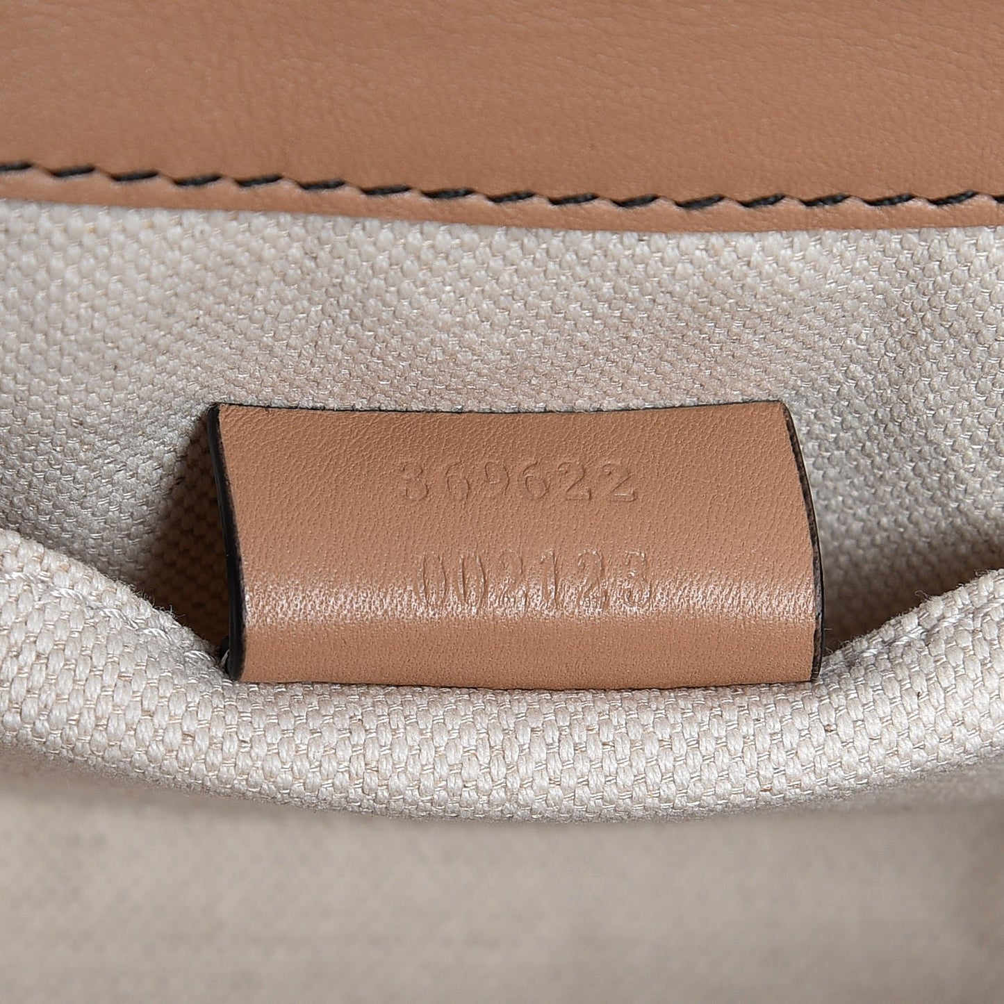 Guccissima Mini Emily Chain Shoulder Bag Camelia