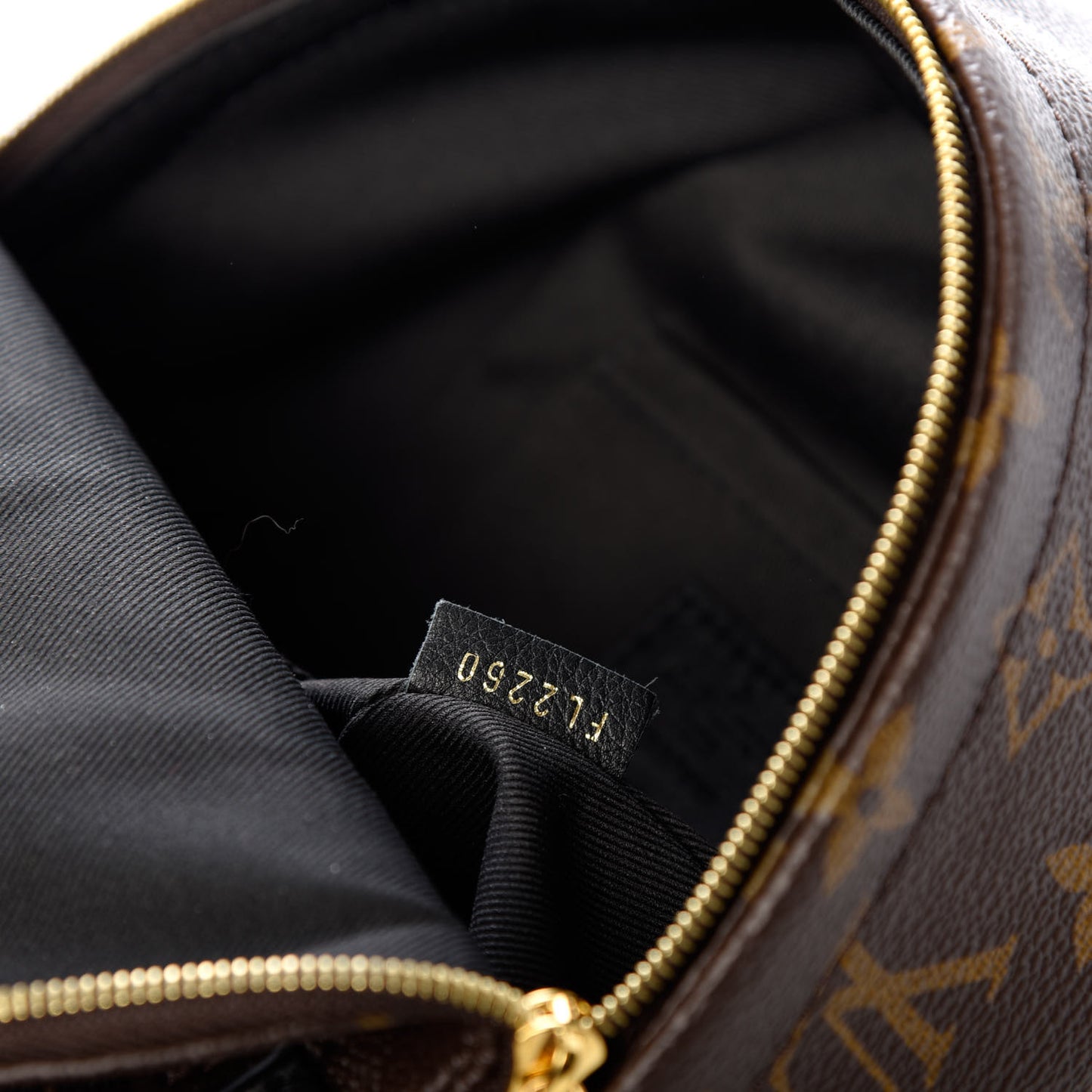 Monogram Palm Springs Backpack Mini