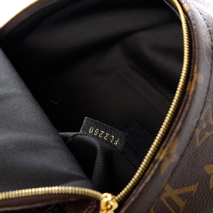 Louis Vuitton Monogram Palm Springs Backpack Mini 7 of 11