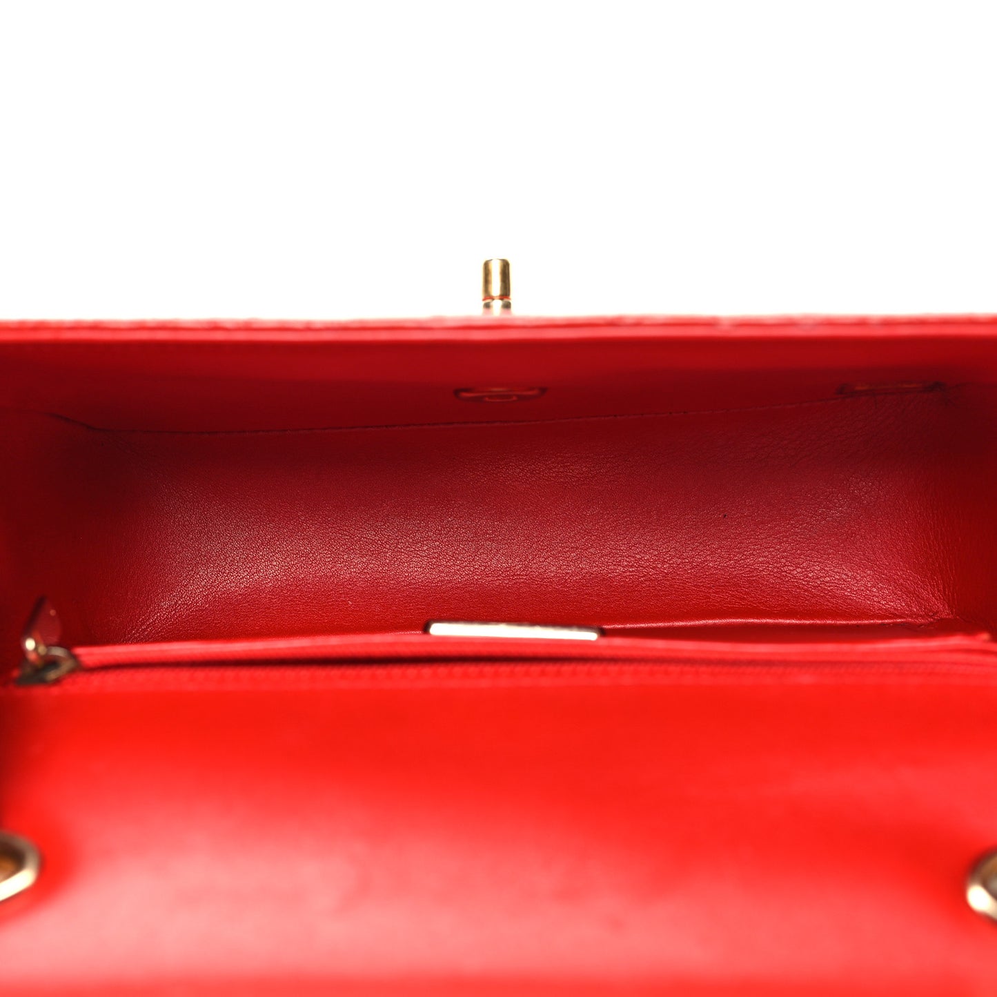 Snakeskin Mini Rectangular Flap Red