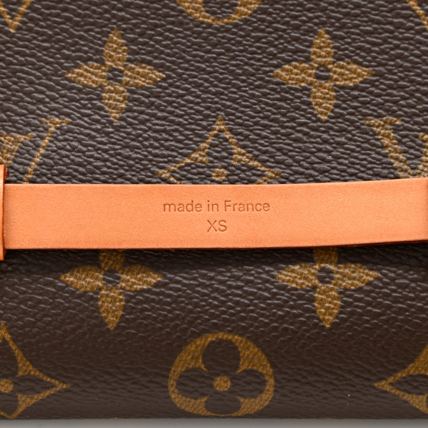 Monogram Pochette Florentine XS