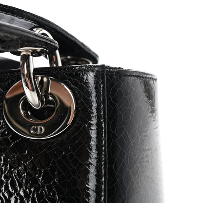 Christian Dior Ceramic Effect Deerskin Jeweled Swan Mini Lady Dior Black 16 of 18