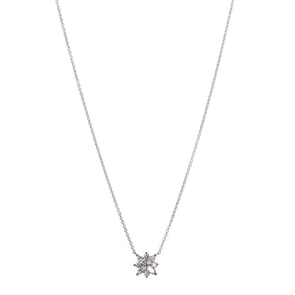 Tiffany Platinum Diamond Victoria Cluster Pendant Necklace 1 of 7