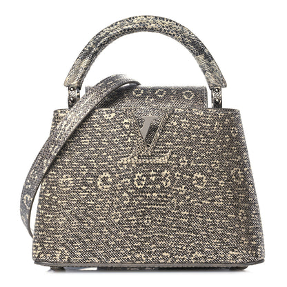 Louis Vuitton Lizard Mini Capucines Argento 1 of 9