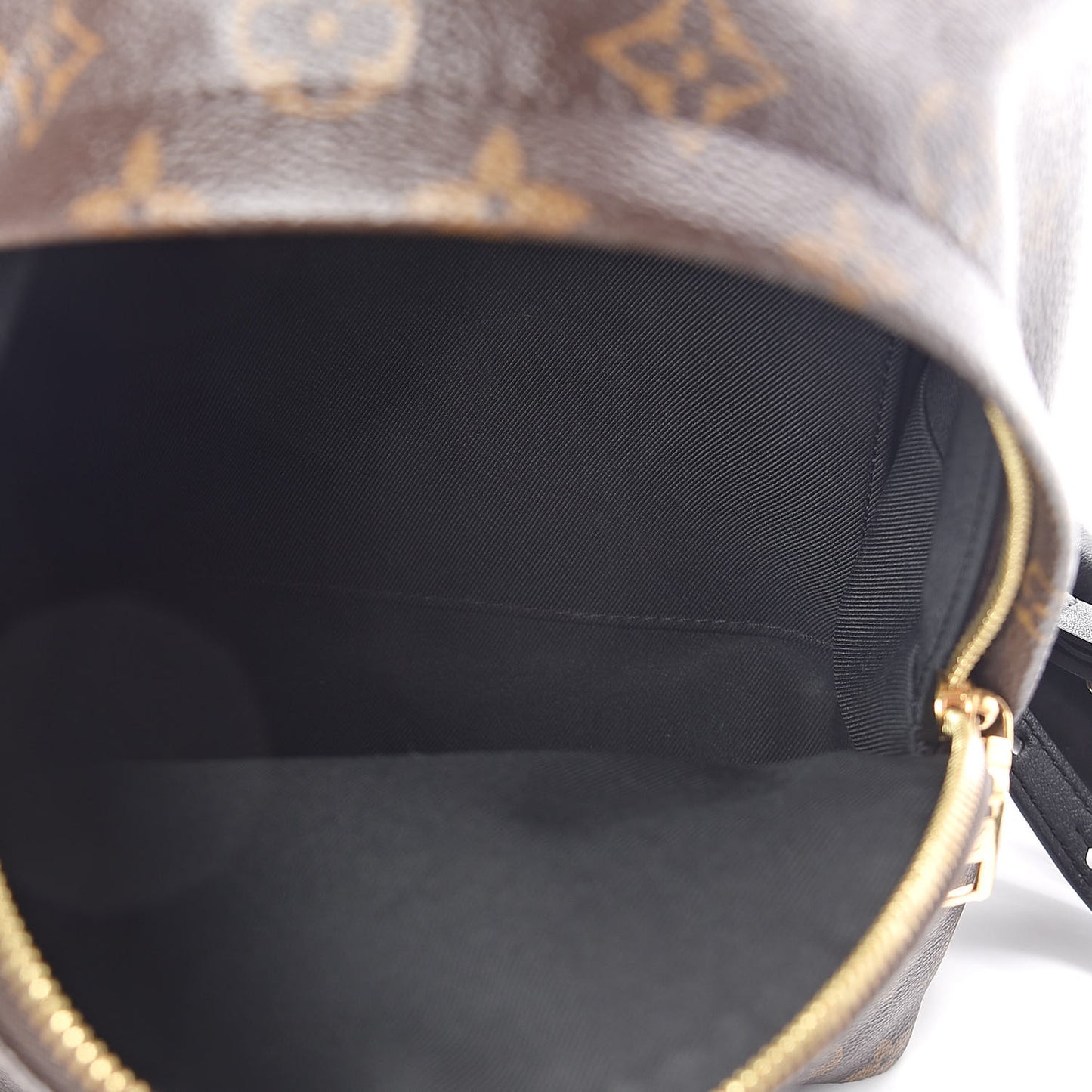 Monogram Palm Springs Backpack PM