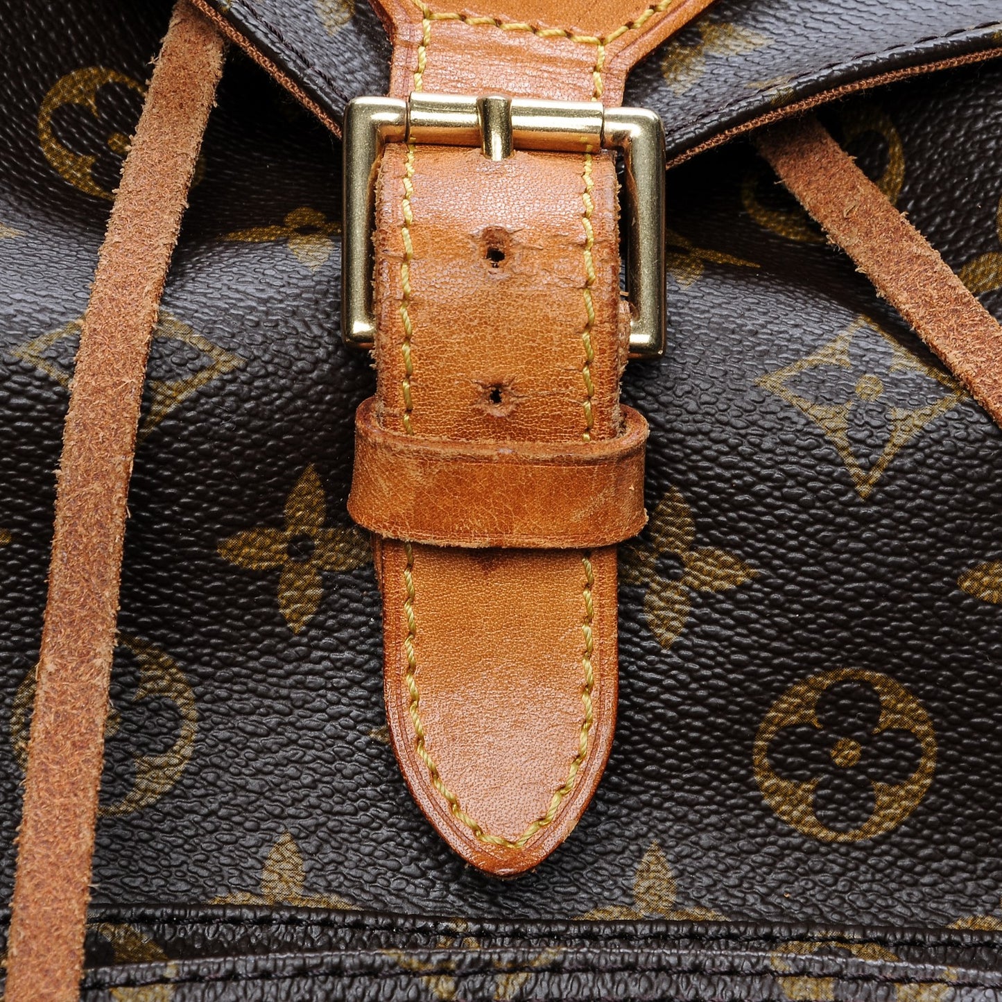 Monogram Montsouris GM Backpack