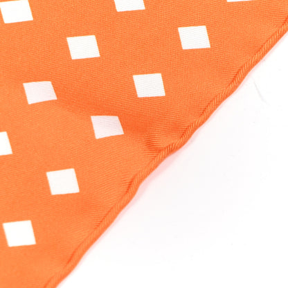 Hermes Silk La Promenade du Matin Triangle Scarf 6 of 7