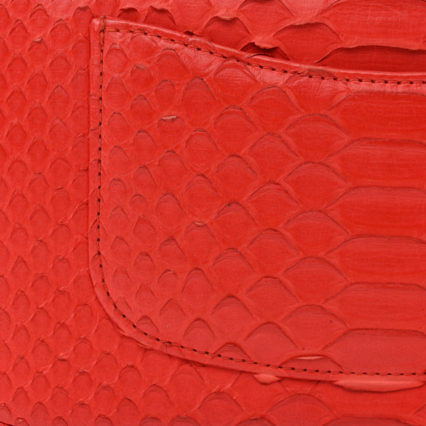 Snakeskin Mini Rectangular Flap Red