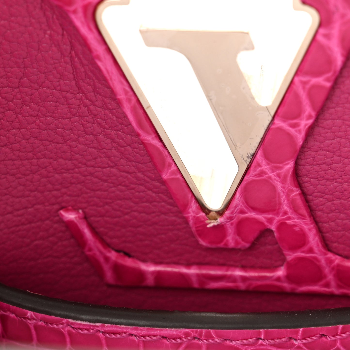 Crocodile Nano Capucines