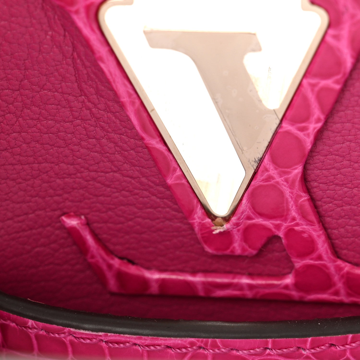 Louis Vuitton Crocodile Nano Capucines 10 of 10