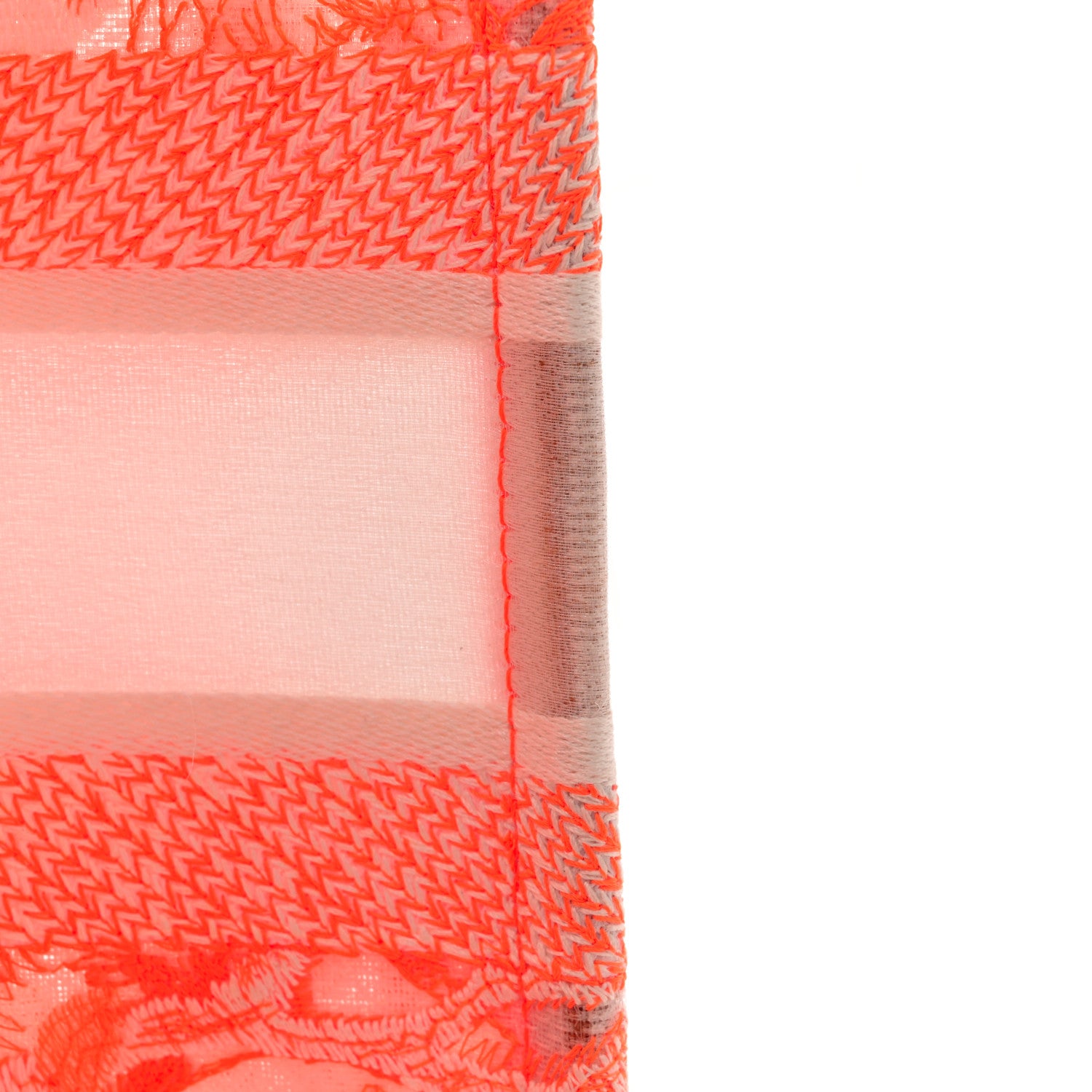 Christian Dior Transparent Canvas Embroidered Medium Dioriviera