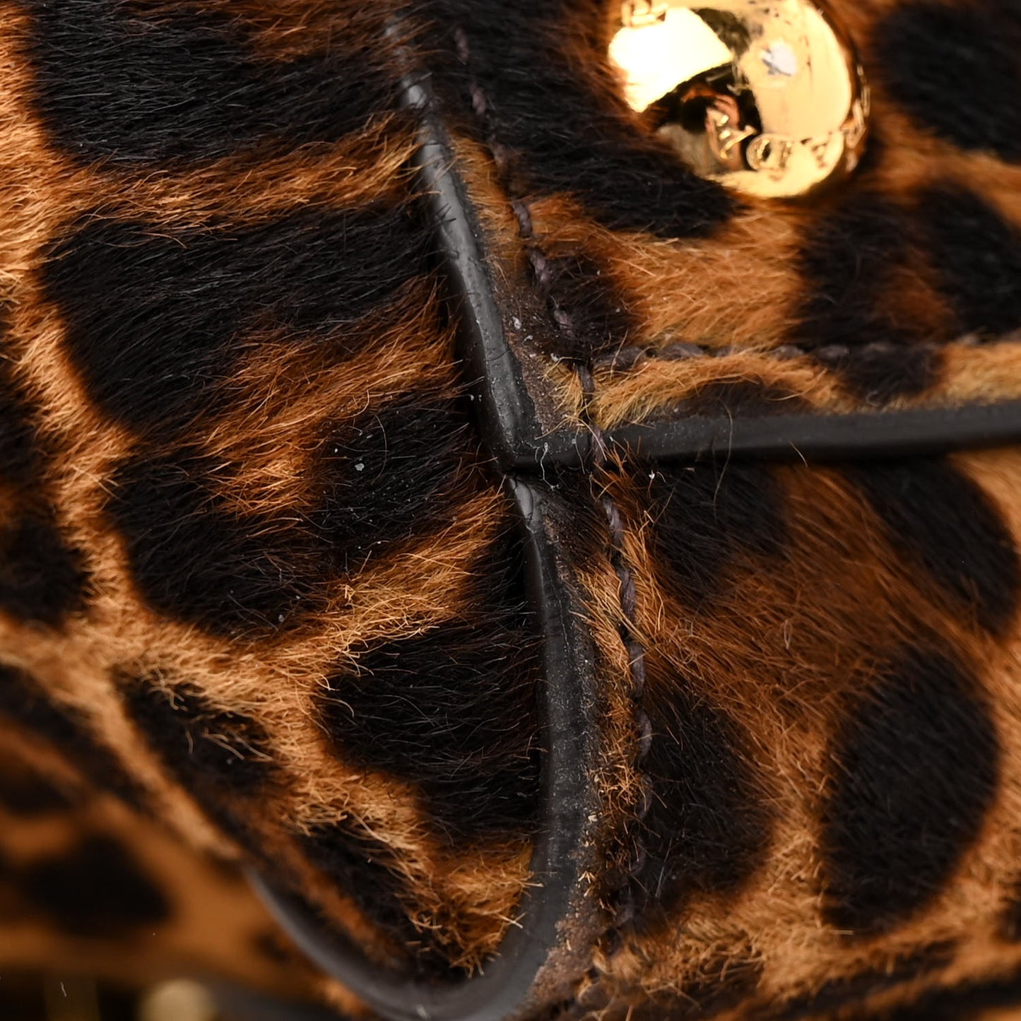 Cavallino Leopard Print Twin Pocket Tote Miele Moro