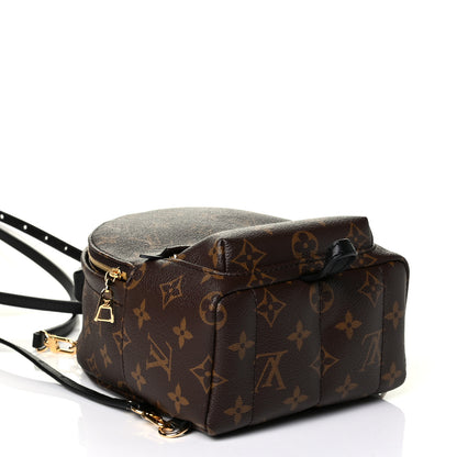 Louis Vuitton Monogram Palm Springs Backpack Mini 3 of 7