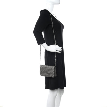 Chanel Metallic Goatskin Quilted Diamond CC Wallet On Chain WOC Pewter 2 of 12