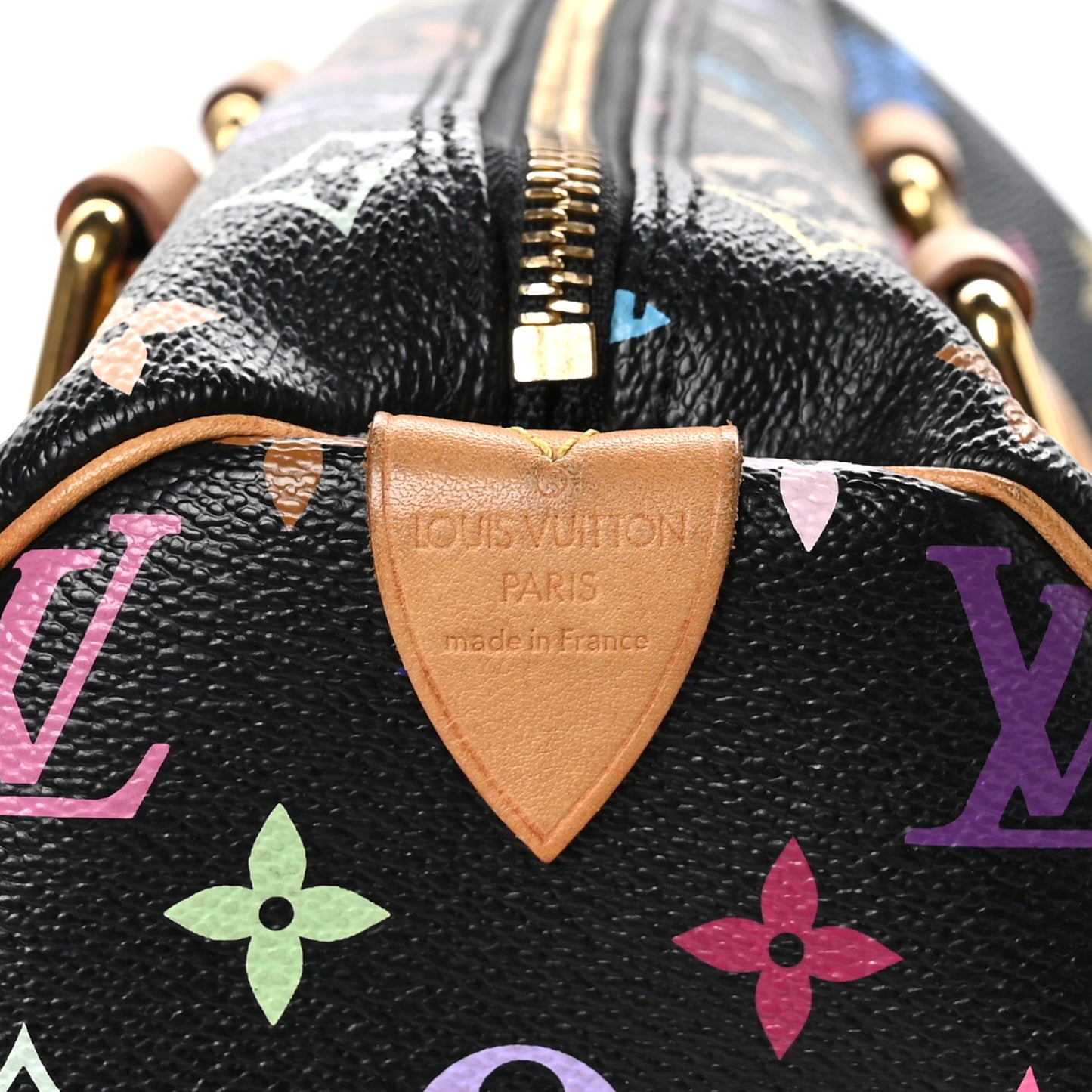 Monogram Multicolor Speedy 30 Black