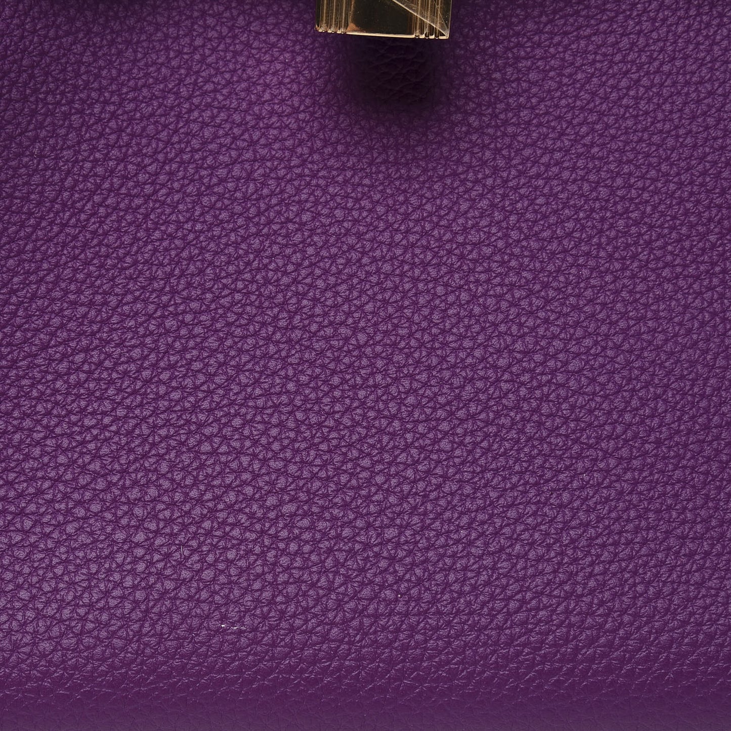 Togo Horseshoe Birkin 25 Anemone Rose Poupre