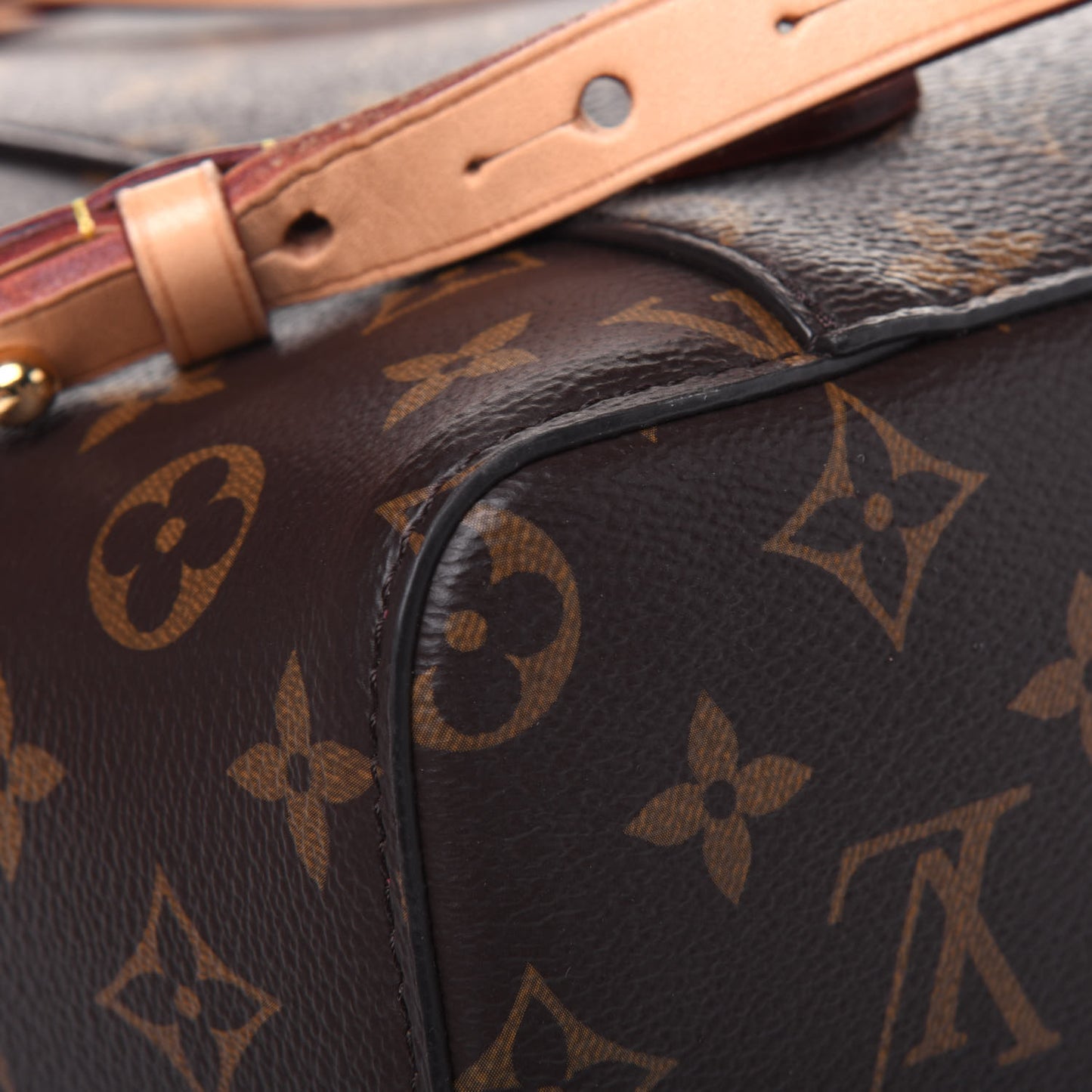 Monogram Montsouris NM Backpack