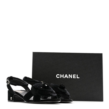 Chanel Velvet Pearl Camellia Sandals 37.5 Black 10 of 10
