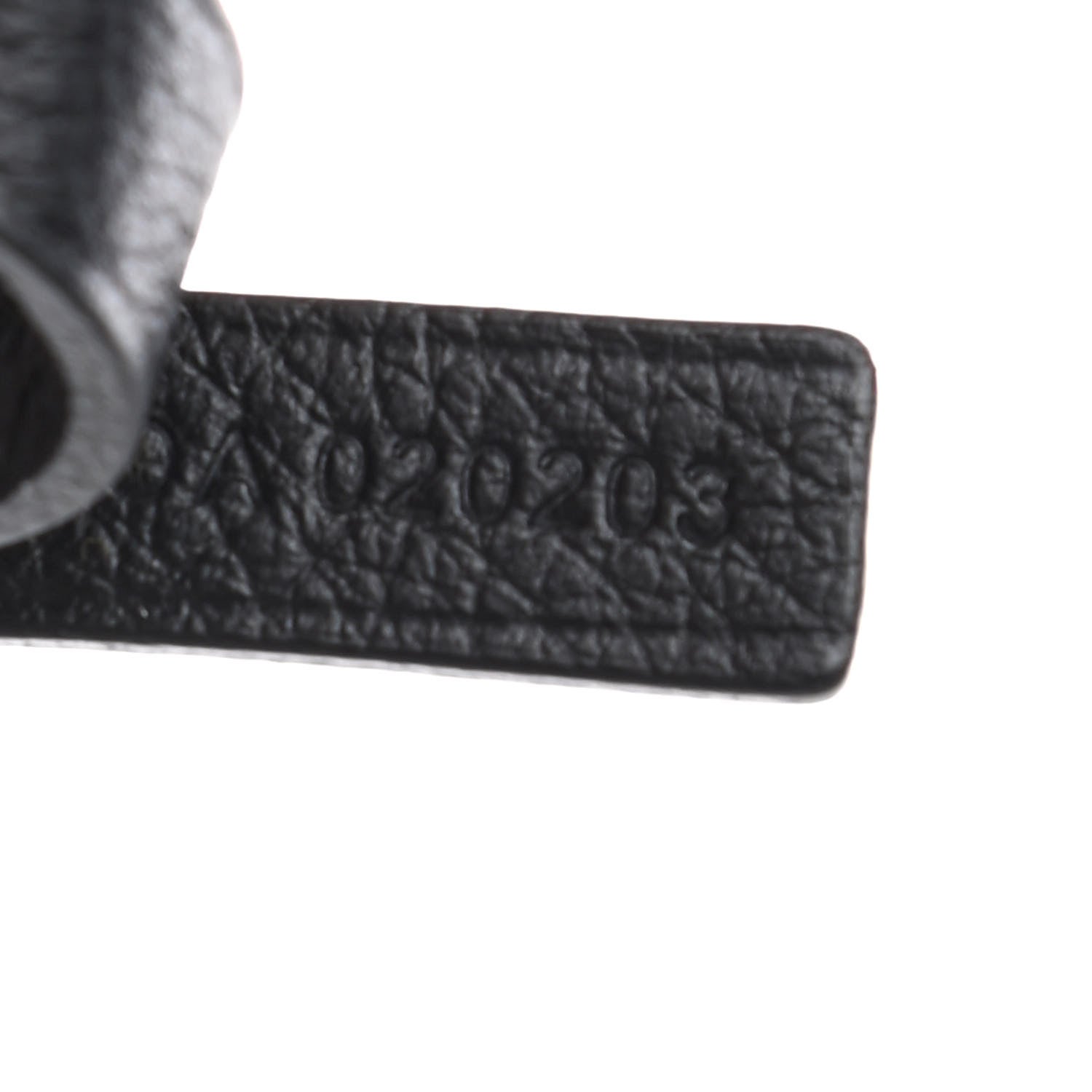 Goyard Goyardine Saint Louis PM Black 6 of 8