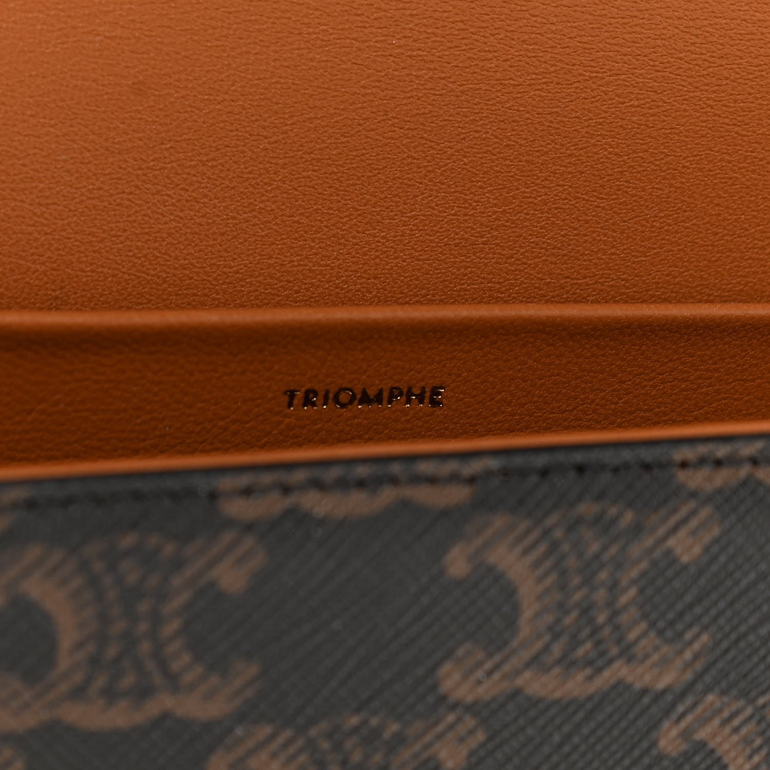 Celine Canvas Calfskin Nano Triomphe Tan 7 of 12