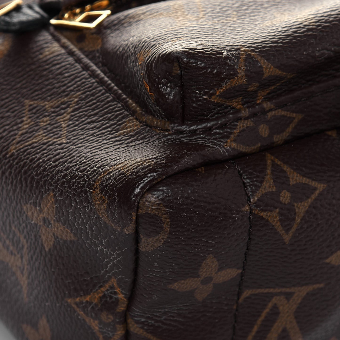 Monogram Palm Springs Backpack Mini
