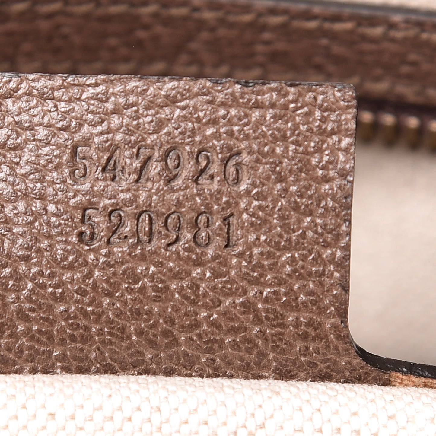 GG Supreme Monogram Web Small Ophidia Messenger Bag Brown