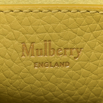 Mulberry Heavy Grain Mini Alexa Meadow Green 6 of 10