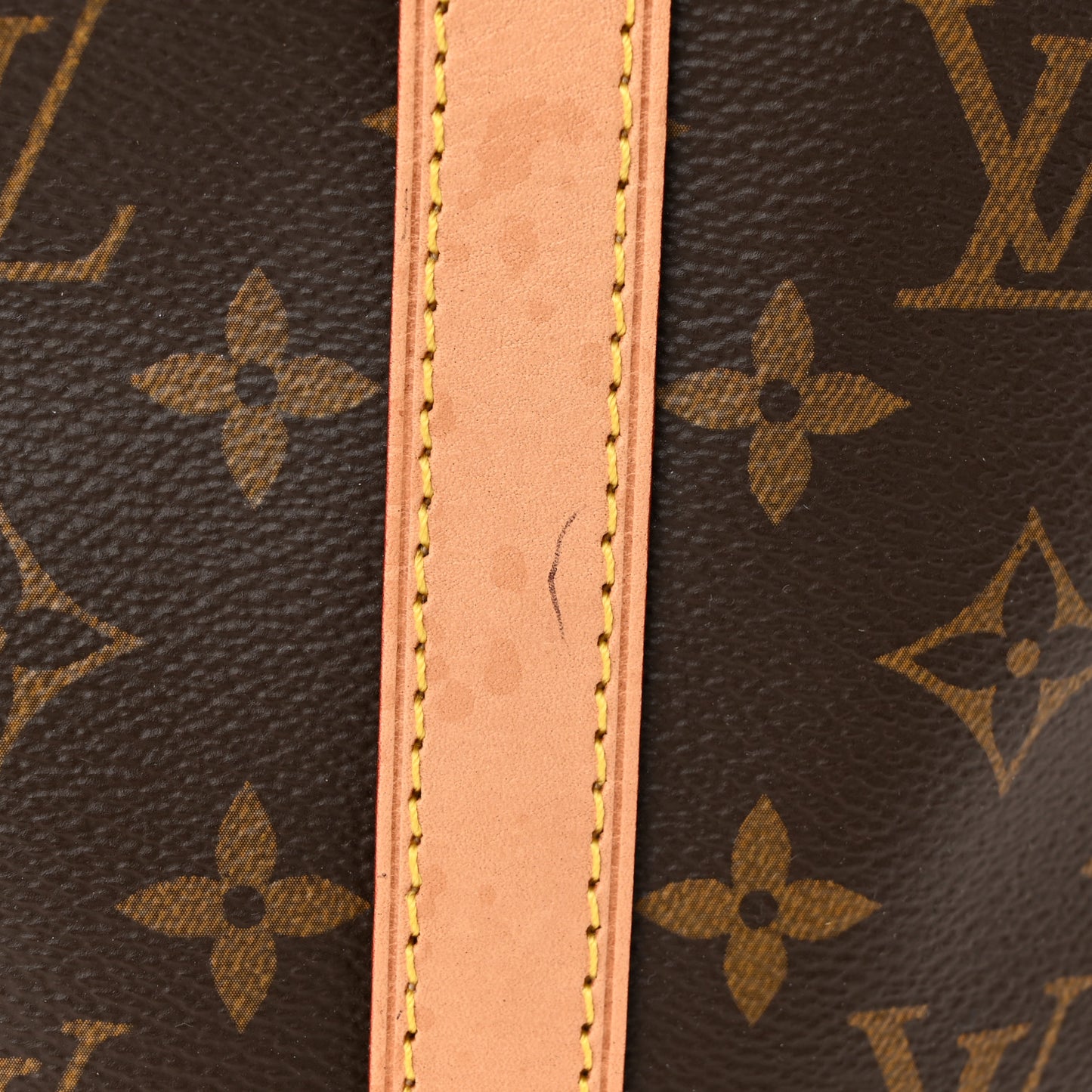 Monogram Summer Trunks Speedy Bandouliere 30