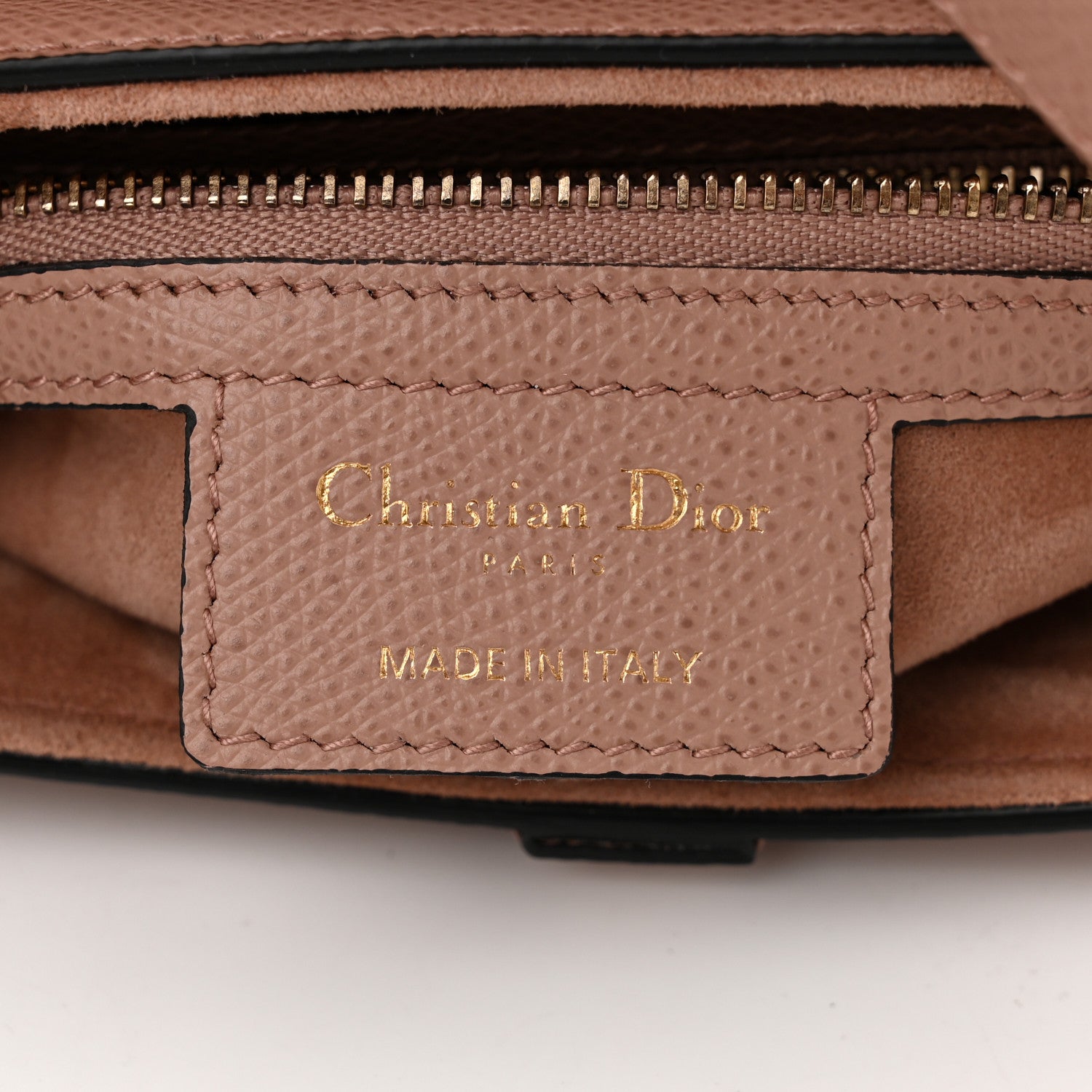 Christian Dior Grained Calfskin Saddle Bag Fard 6 of 10