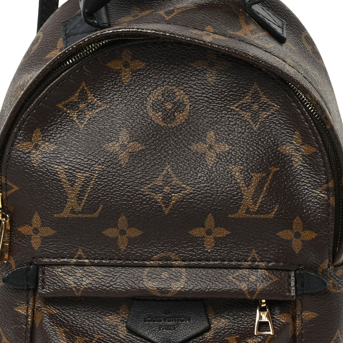 Monogram Palm Springs Backpack Mini