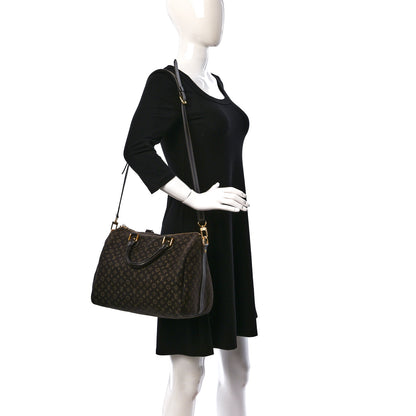 Louis Vuitton Monogram Idylle Speedy Bandouliere 30 Fusain 2 of 10