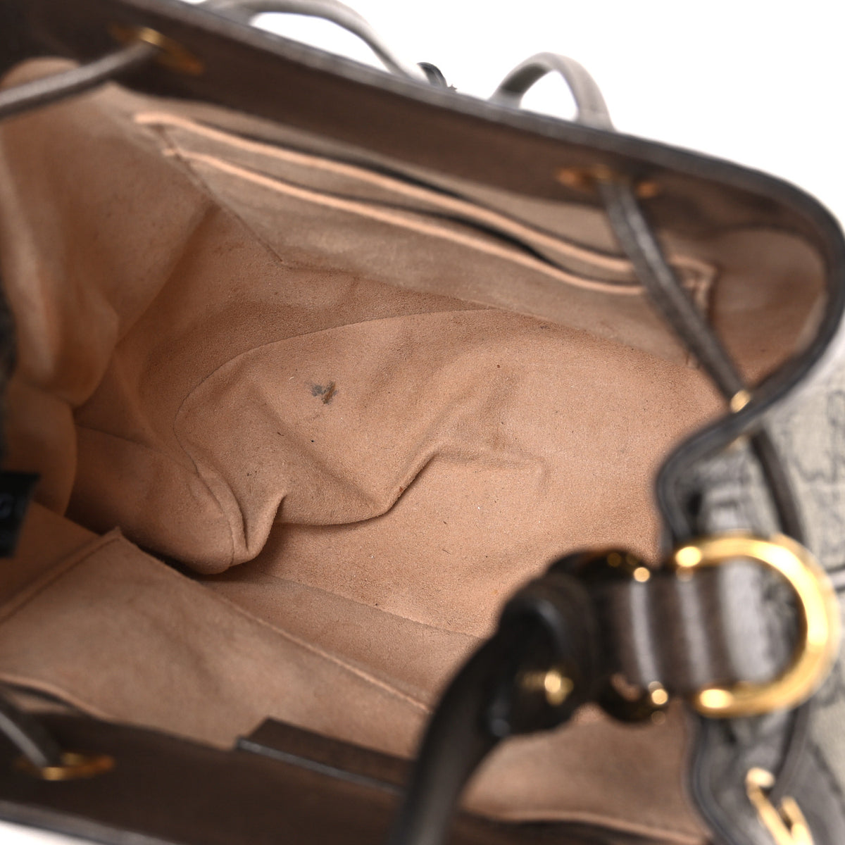 GG Supreme Monogram Web Small Ophidia Bucket Bag Brown
