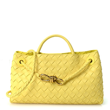 Bottega Veneta Nappa Intrecciato Small East West Andiamo Shoulder Bag Sherbert 1 of 9