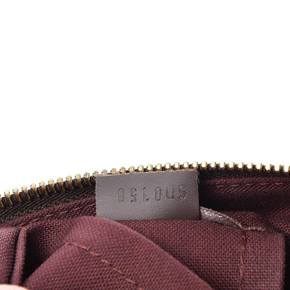 Louis Vuitton Damier Ebene Iena MM 8 of 9
