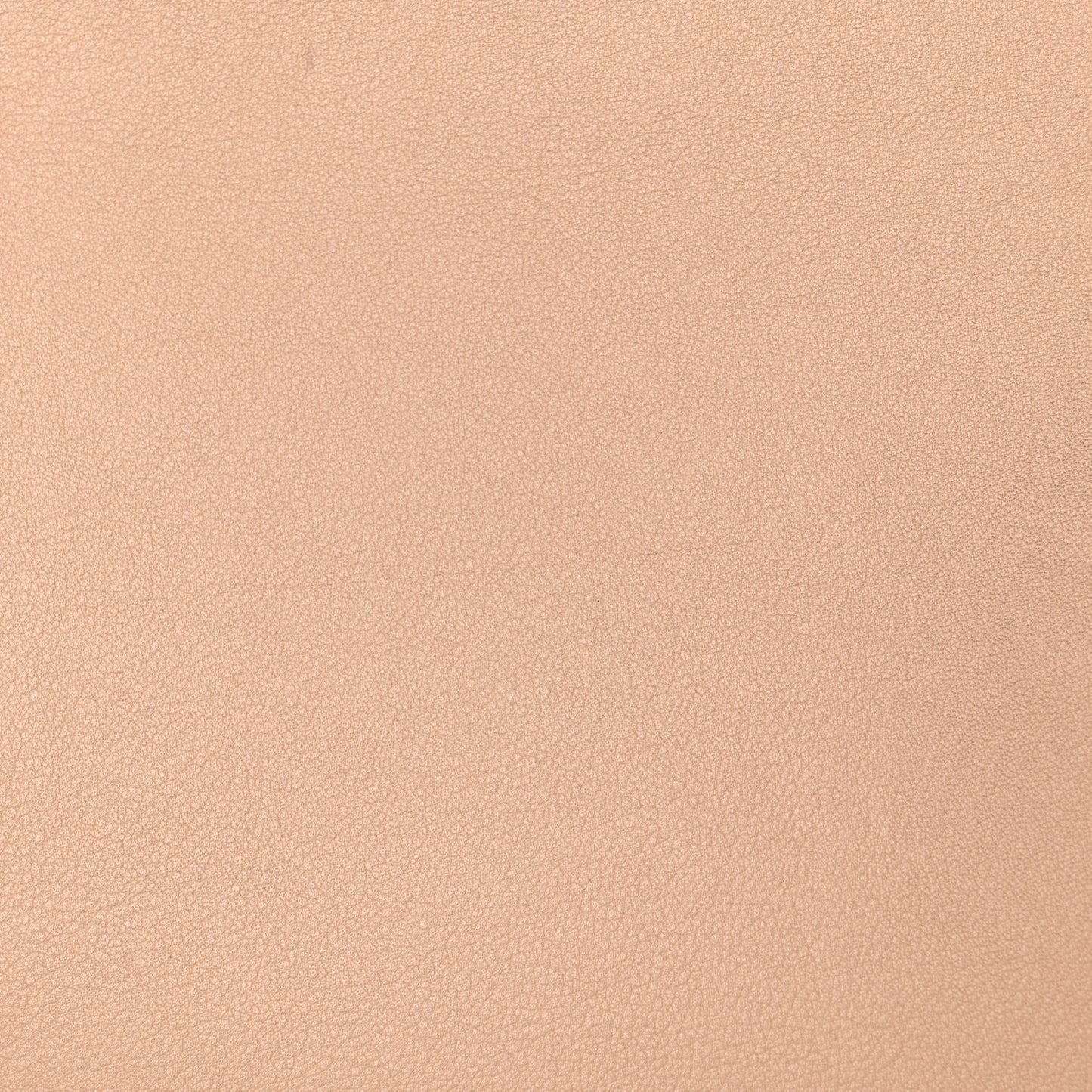 Vitello Dolce Elaphe Petite 2Jours Tote Beige