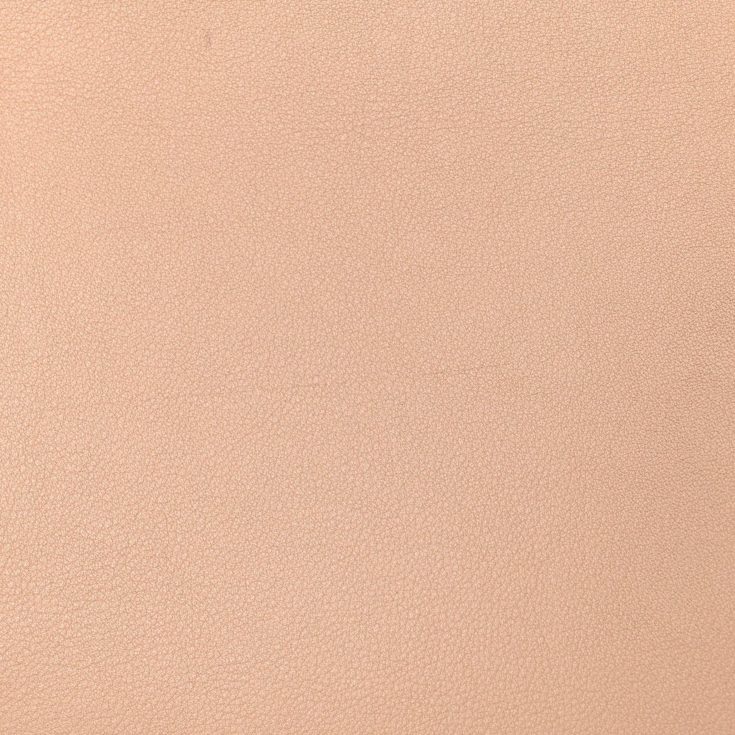 Fendi Vitello Dolce Elaphe Petite 2Jours Tote Beige 9 of 9