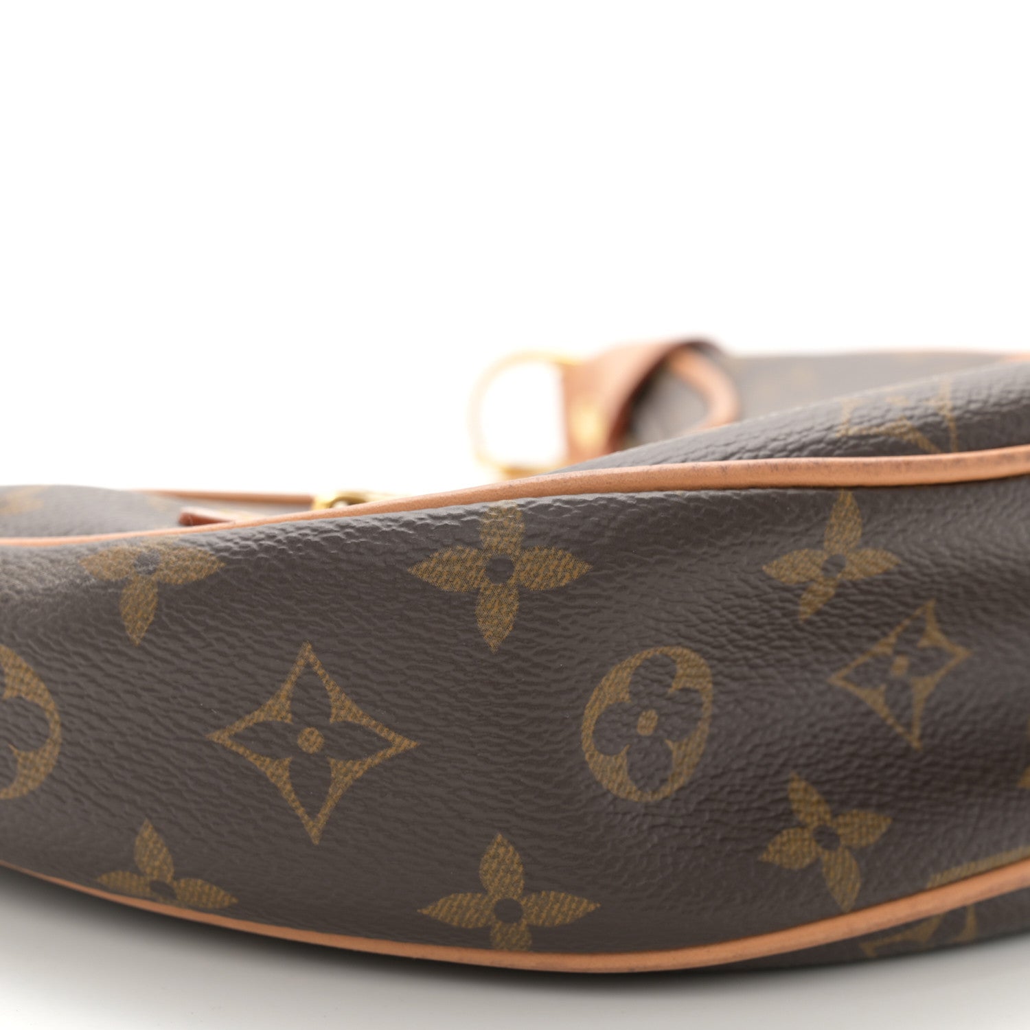 Louis Vuitton Monogram Loop 8 of 11