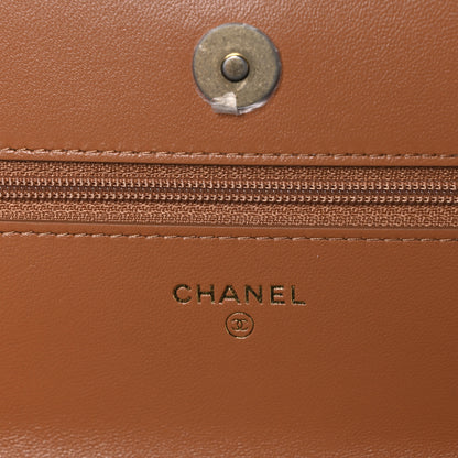 Chanel Lambskin Quilted Chanel 19 Wallet On Chain WOC Brown 6 of 11