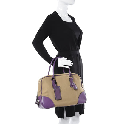 Prada Canapa Cinghiale Bowler Viola 2 of 13