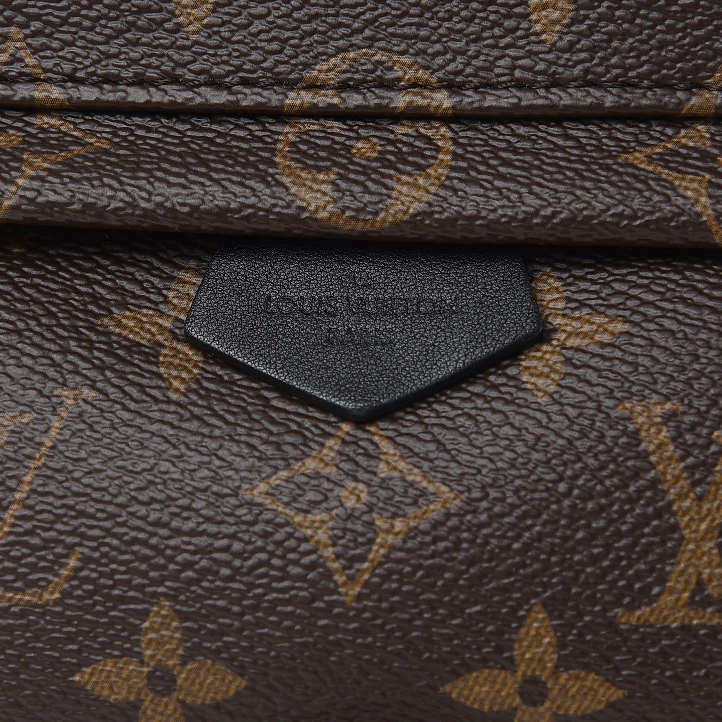 Monogram Palm Springs Backpack Mini