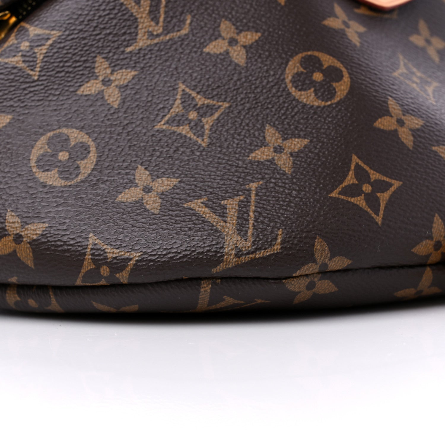 Louis Vuitton Monogram Bumbag 8 of 13