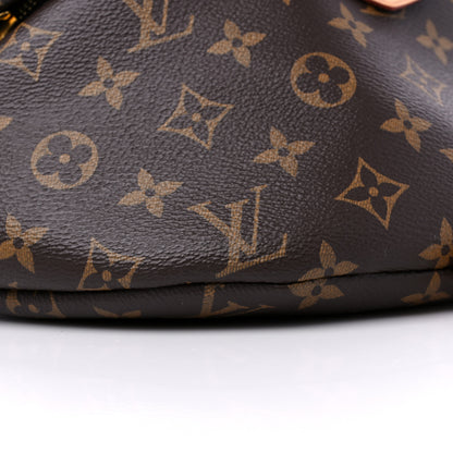 Louis Vuitton Monogram Bumbag 8 of 13