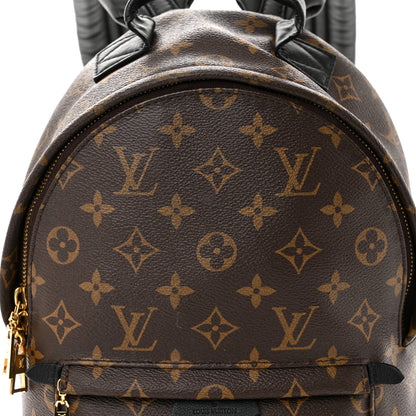Louis Vuitton LOUIS VUITTON Monogram Palm Springs Backpack PM 7 of 10