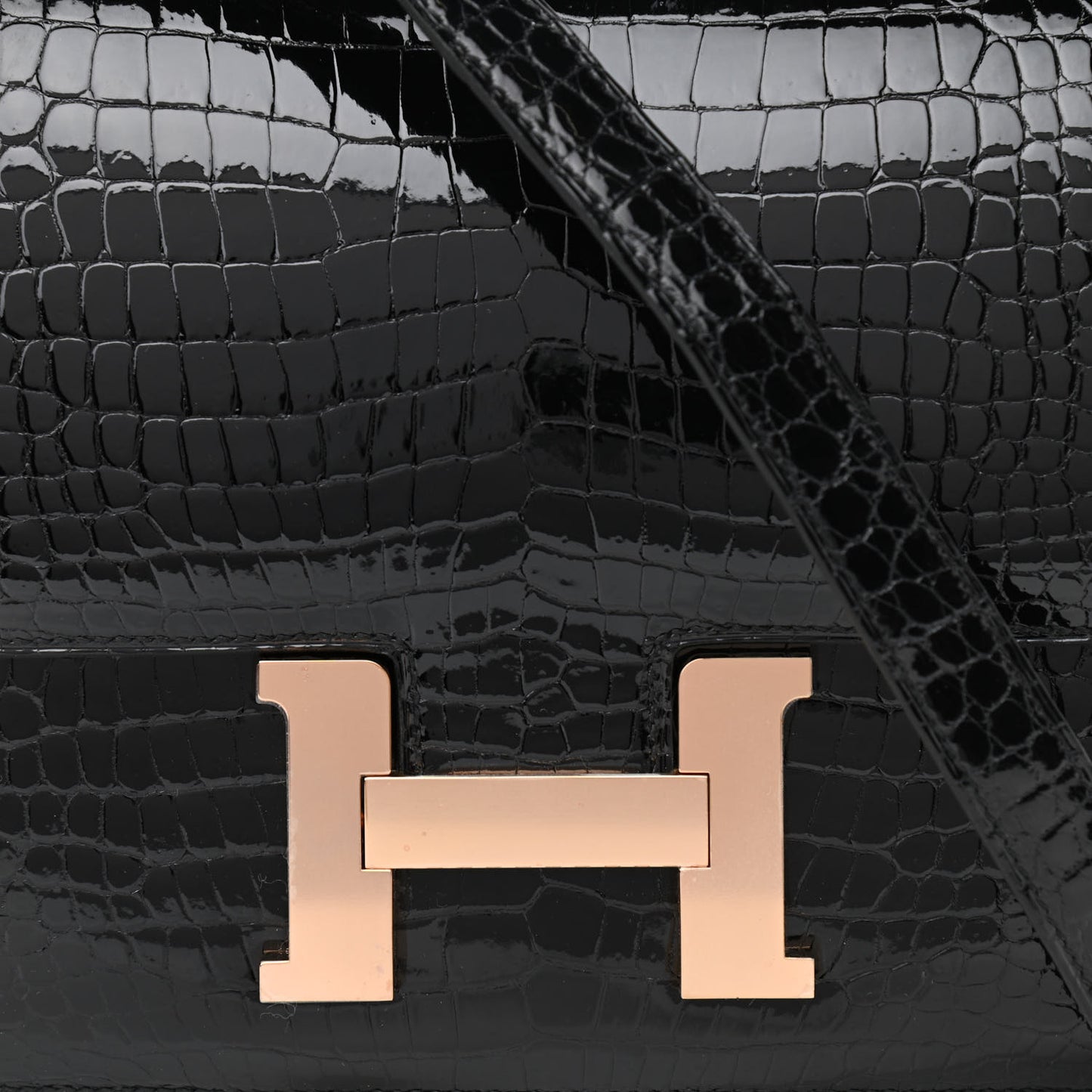 Shiny Porosus Crocodile Constance 24 Black