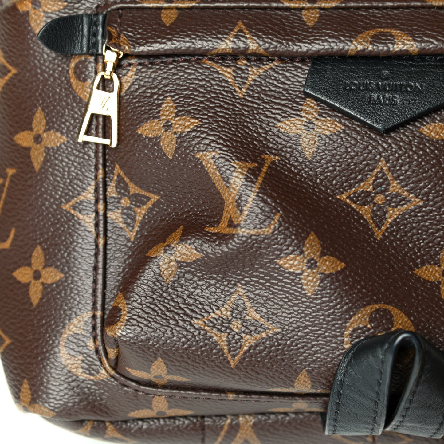 Monogram Palm Springs Backpack PM